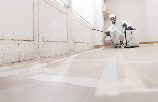 24/7 Emergency Attic Mold Removal experts in Hyde Park, PA